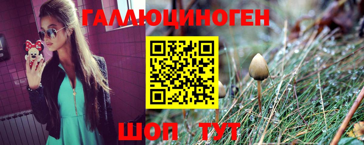 Псилоцибиновые грибы Psilocybe  купить наркоту  Вход с VPN  Миасс  Галлюциногенные грибы GOLDEN TEACHER 